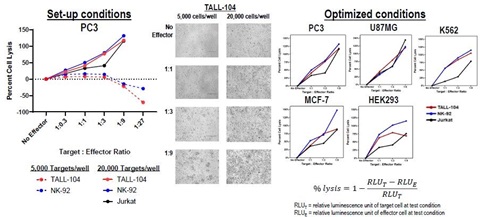 Co-culture set-up and optimization CellTiter-Gloassay